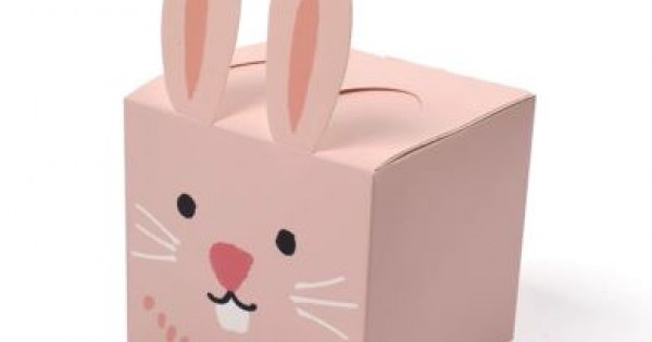 Rabbit Wrapped Box Box 3